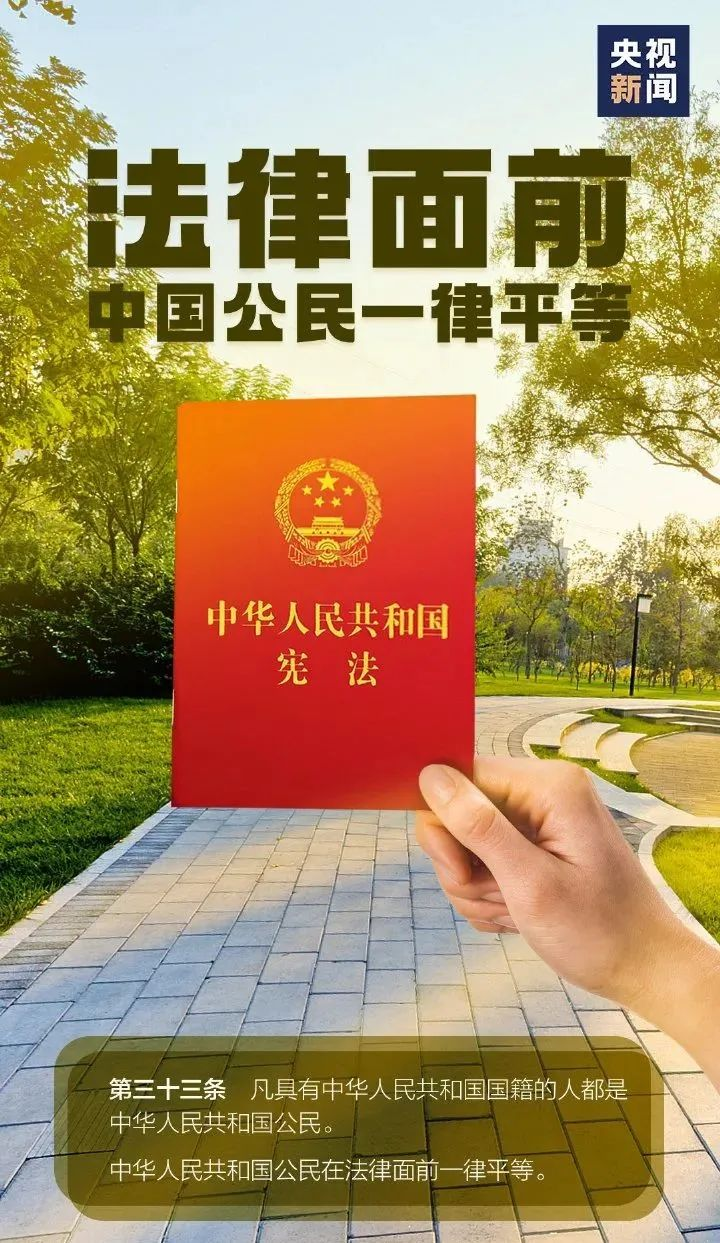 1733127023822808.png 宪法宣传(3).png